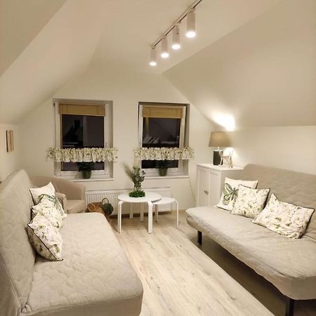 Apartamenty U Kasi Kudowa Zdroj Ngoại thất bức ảnh
