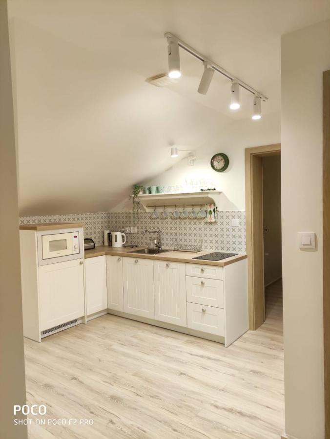 Apartamenty U Kasi Kudowa Zdroj Ngoại thất bức ảnh