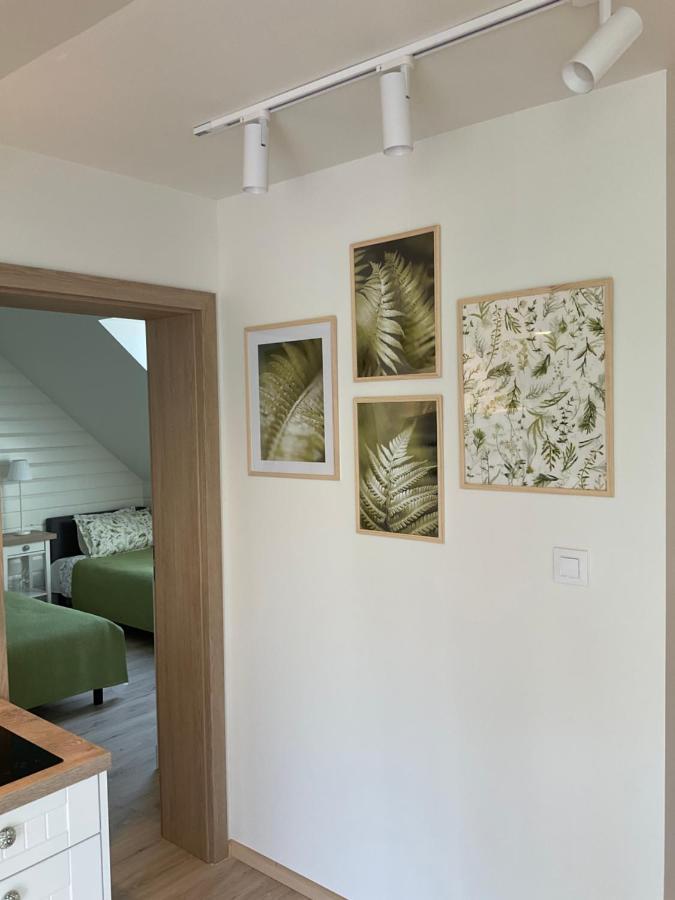 Apartamenty U Kasi Kudowa Zdroj Ngoại thất bức ảnh